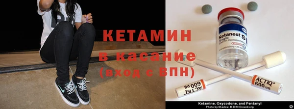 стафф Россошь