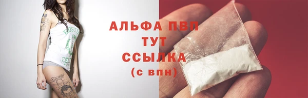 молекула духа Осинники