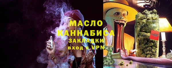 дживик Богородицк