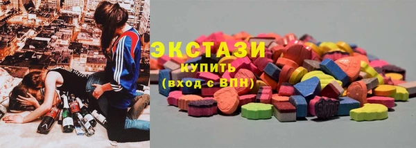 дживик Богородицк